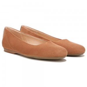 Dr. Scholl's Wexley Ballerinas Damen Braun | 568073-KVN